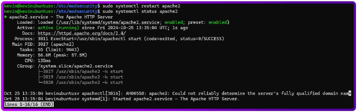 A comprehensive guide to log monitoring with ModSecurity and HAPr0xy
