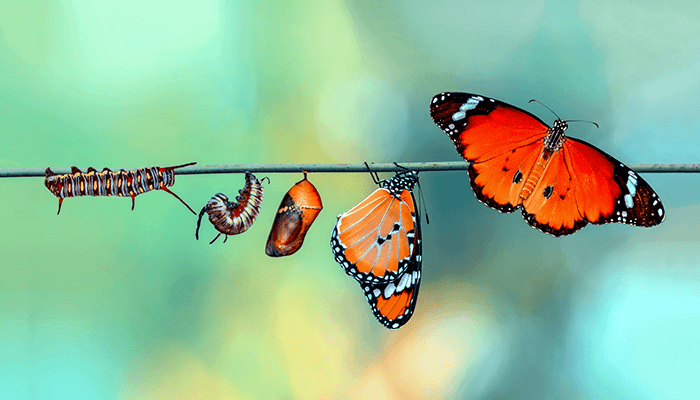 Expecting growth? Get a load balancer that will always meet expectations