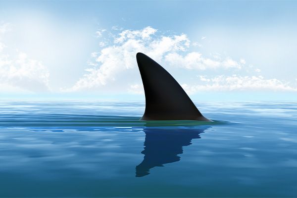 The dangers of not having a high availability setup for your load balancer — as well as your applications!