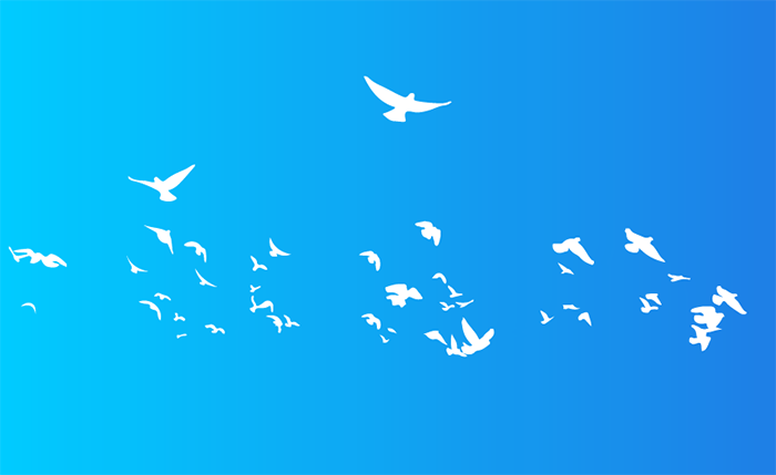 How Loadbalancer.dk helped this customer migrate seamlessly from Snapt Nova