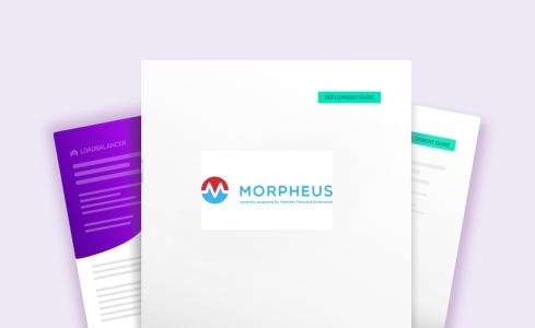 HPE Morpheus Enterprise deployment guide